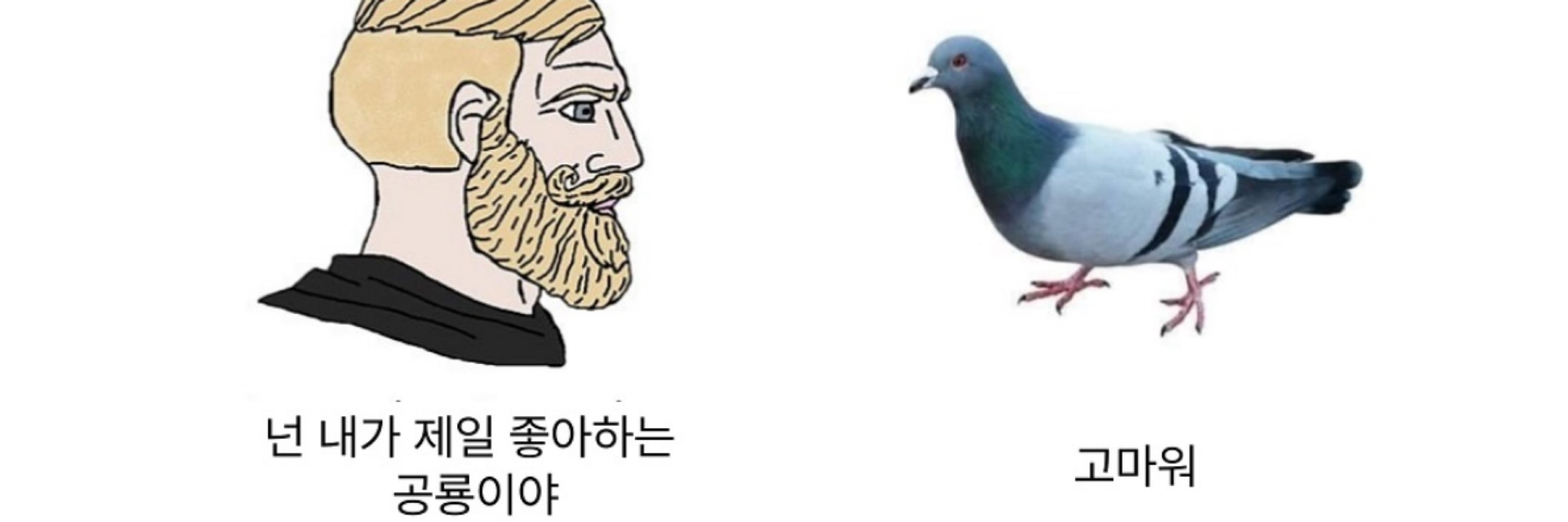크코락