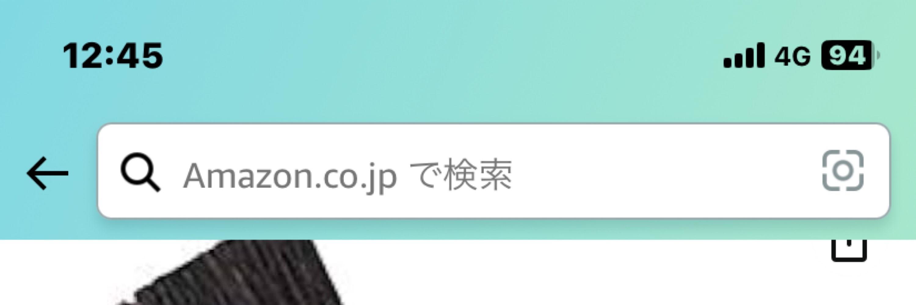猫は神