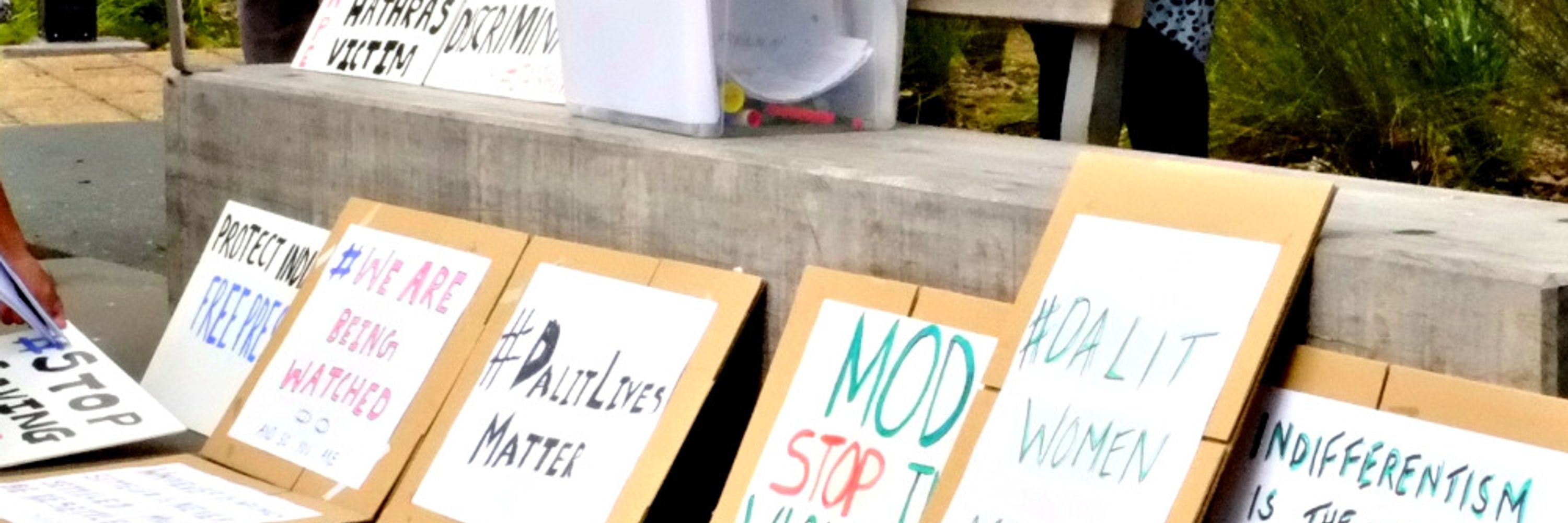Aotearoa Alliance Of Progressive Indians