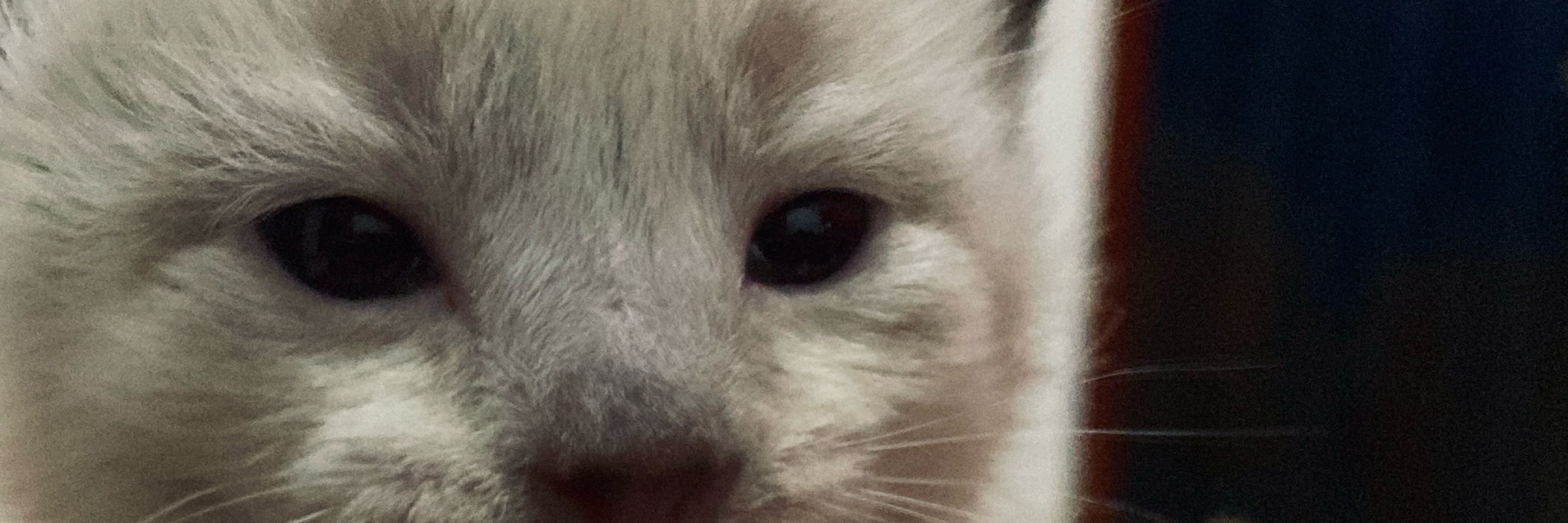 Namorada da Mirelly
