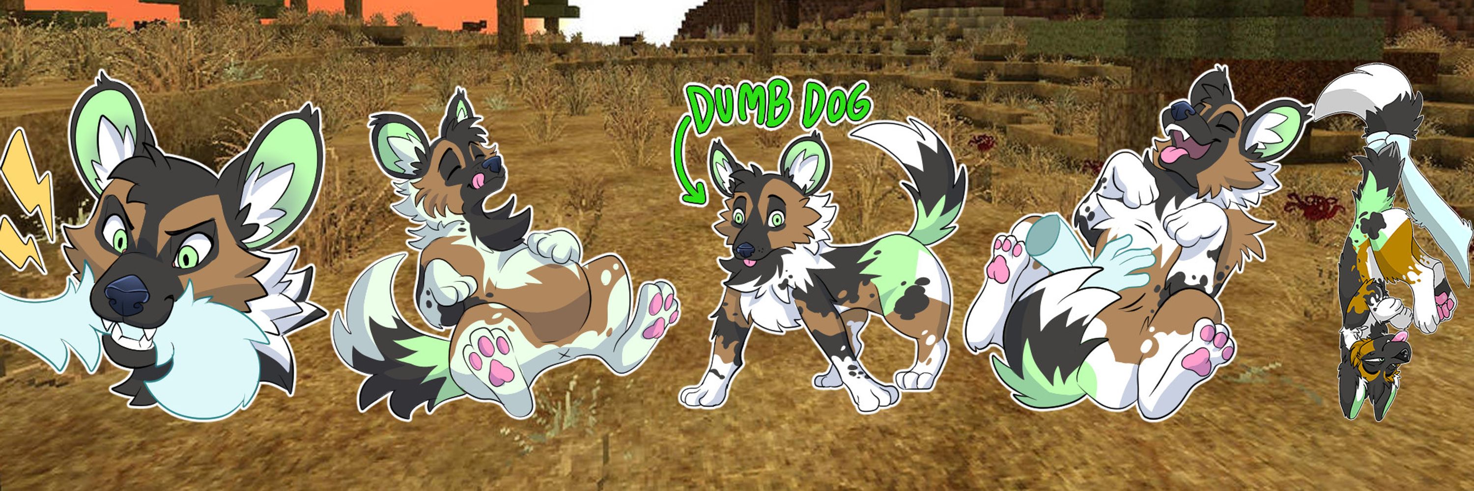 DirtyDog