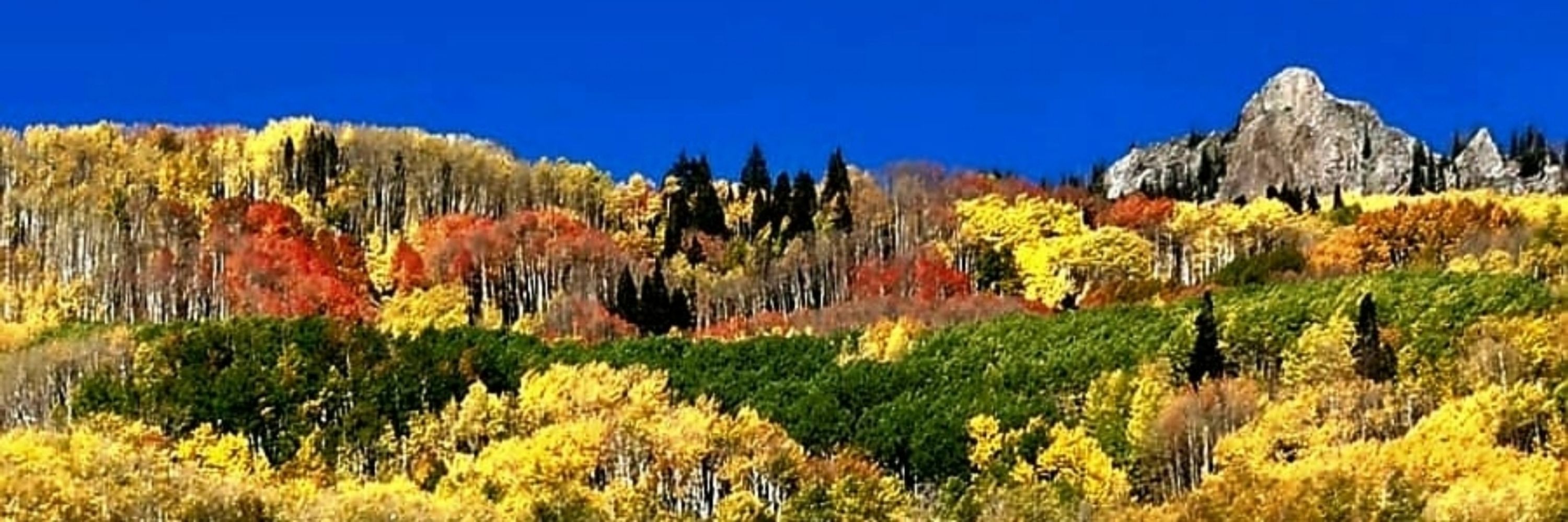 PaulaColorado