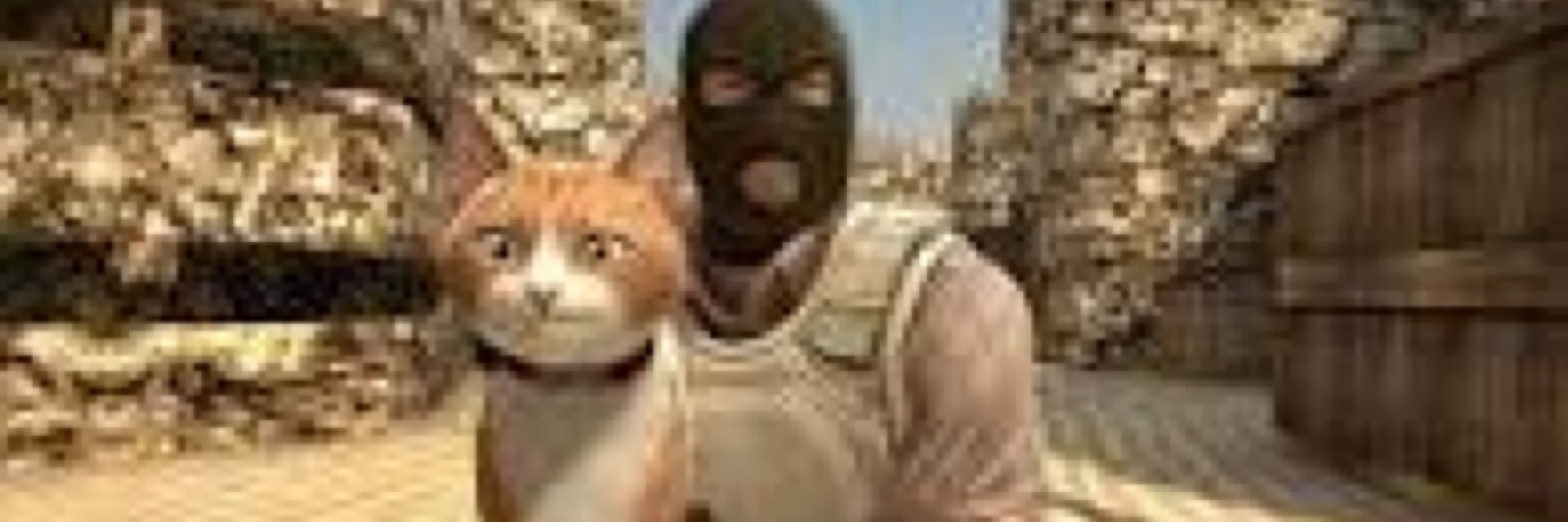 Hareman