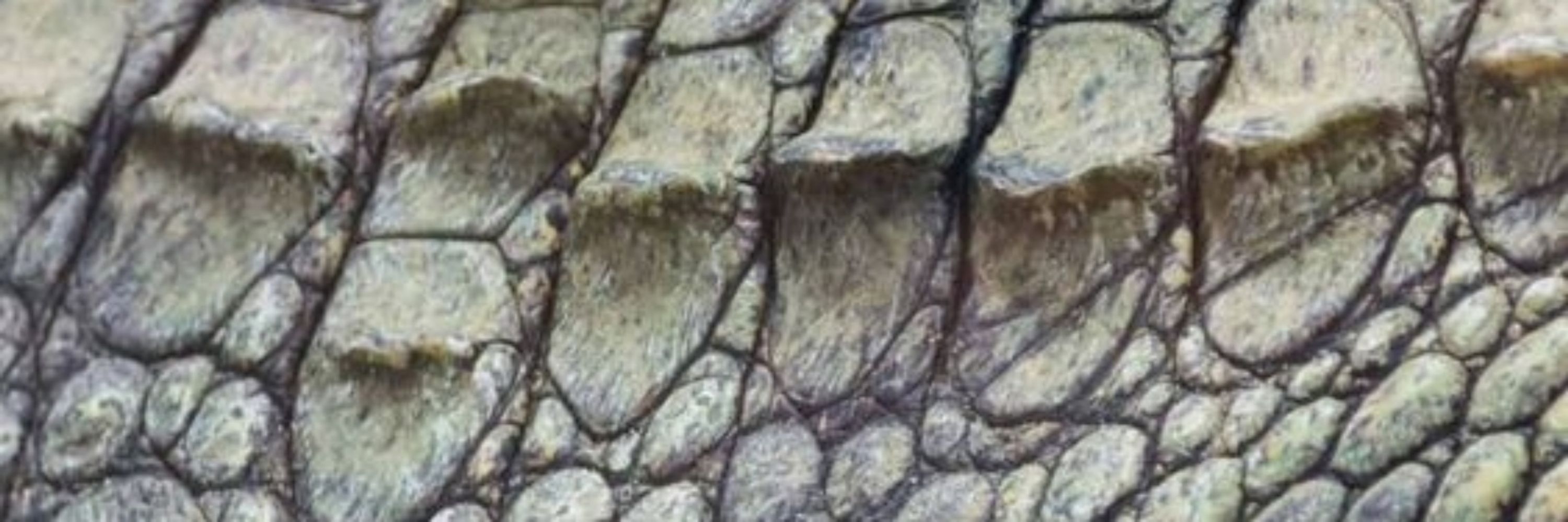 🔞🐊ℝ𝕠𝕔𝕜𝕪🐊🔞