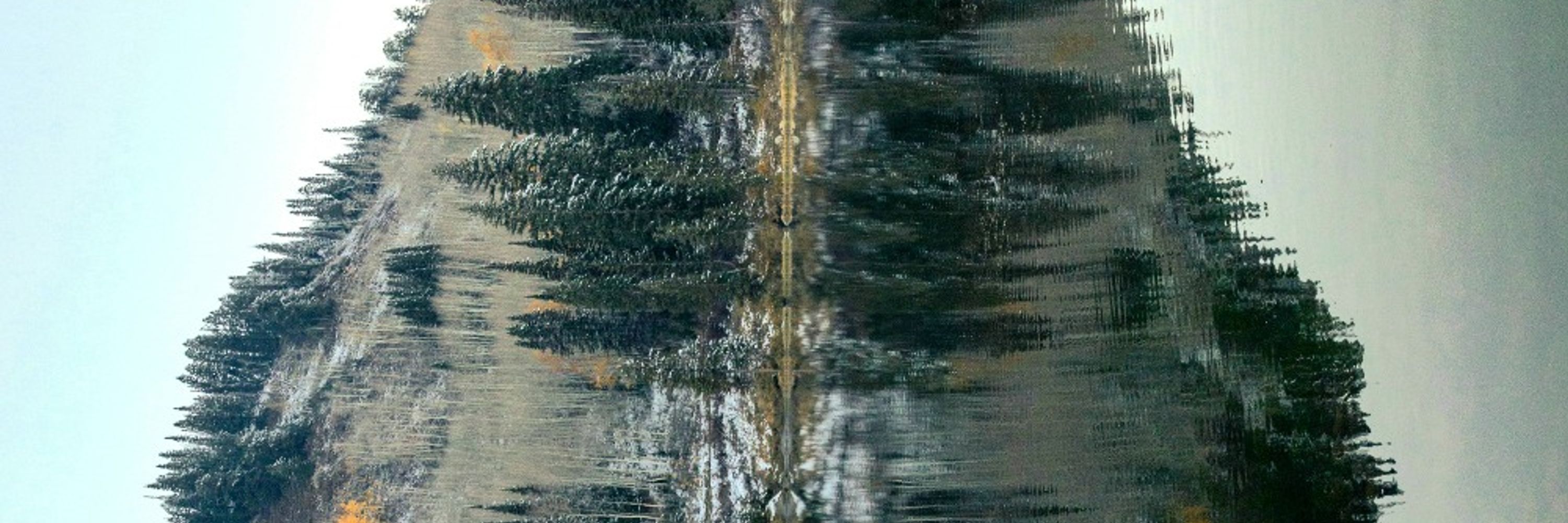 Stephen Cavanaugh 