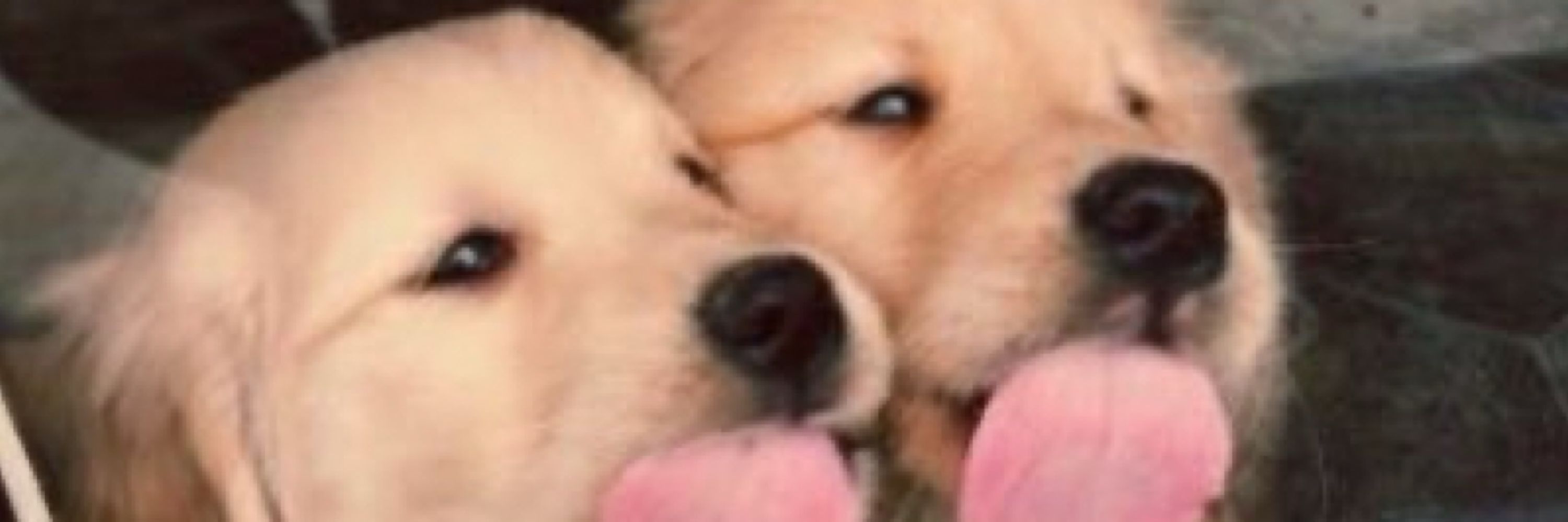 晚間停留