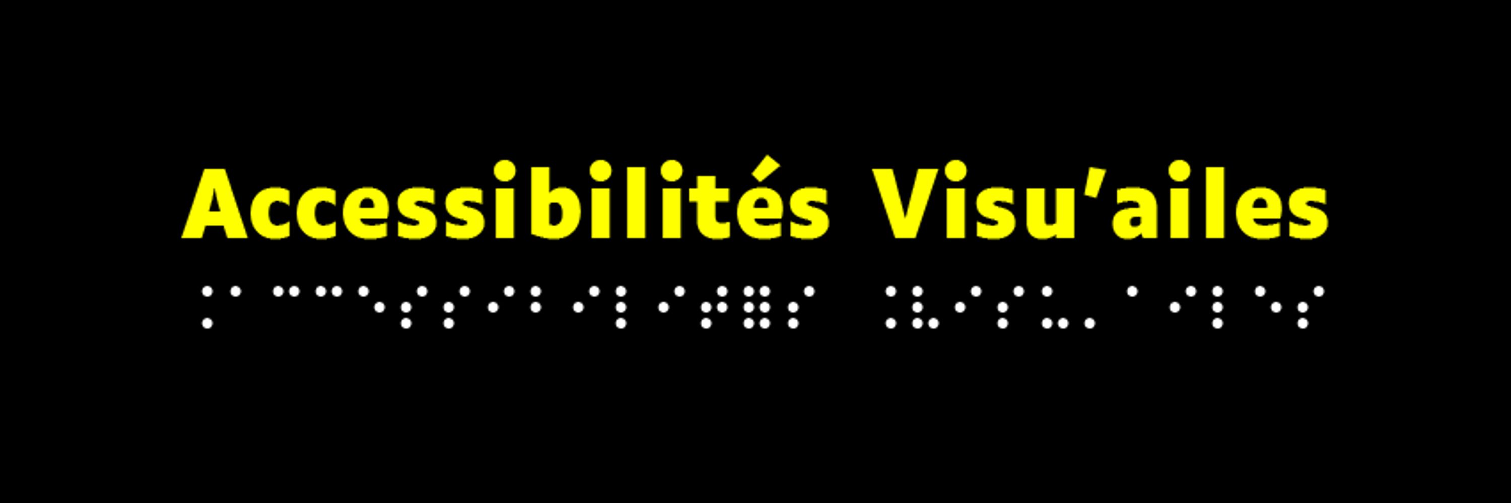 Association Accessibilités Visu’ailes