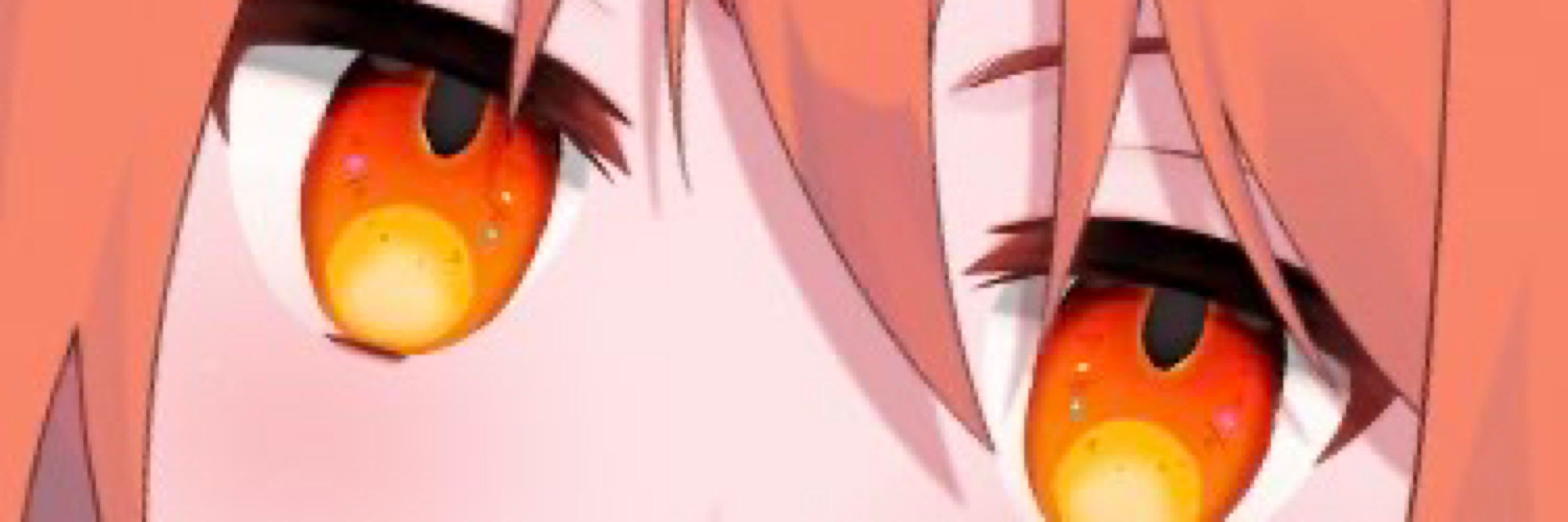 黒ぬこ