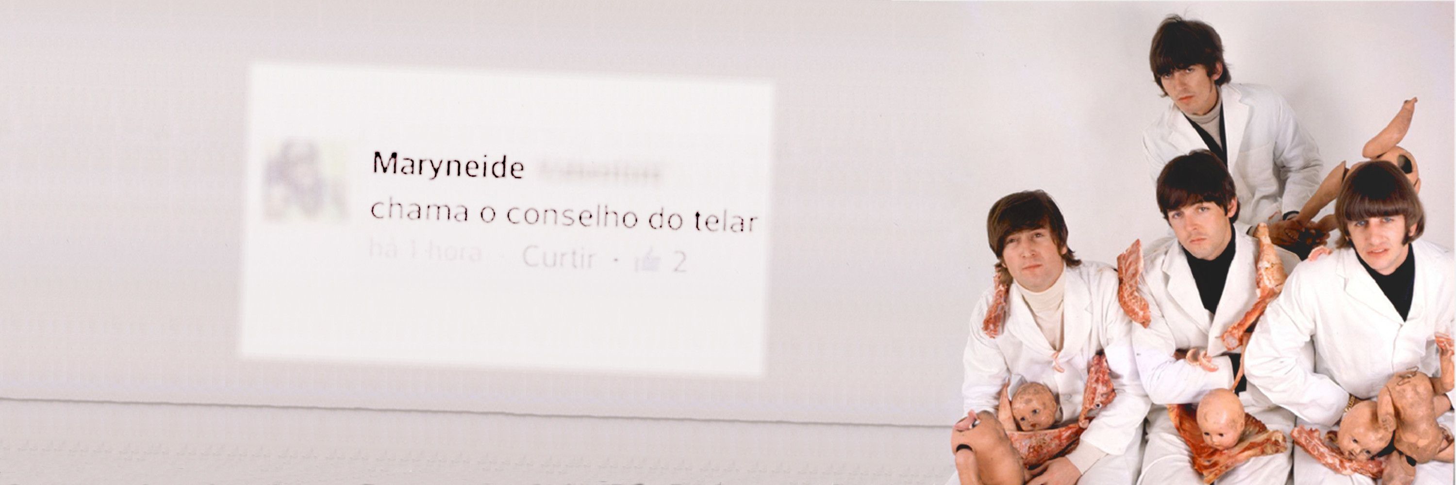 conselho tutelar de bebê reborn
