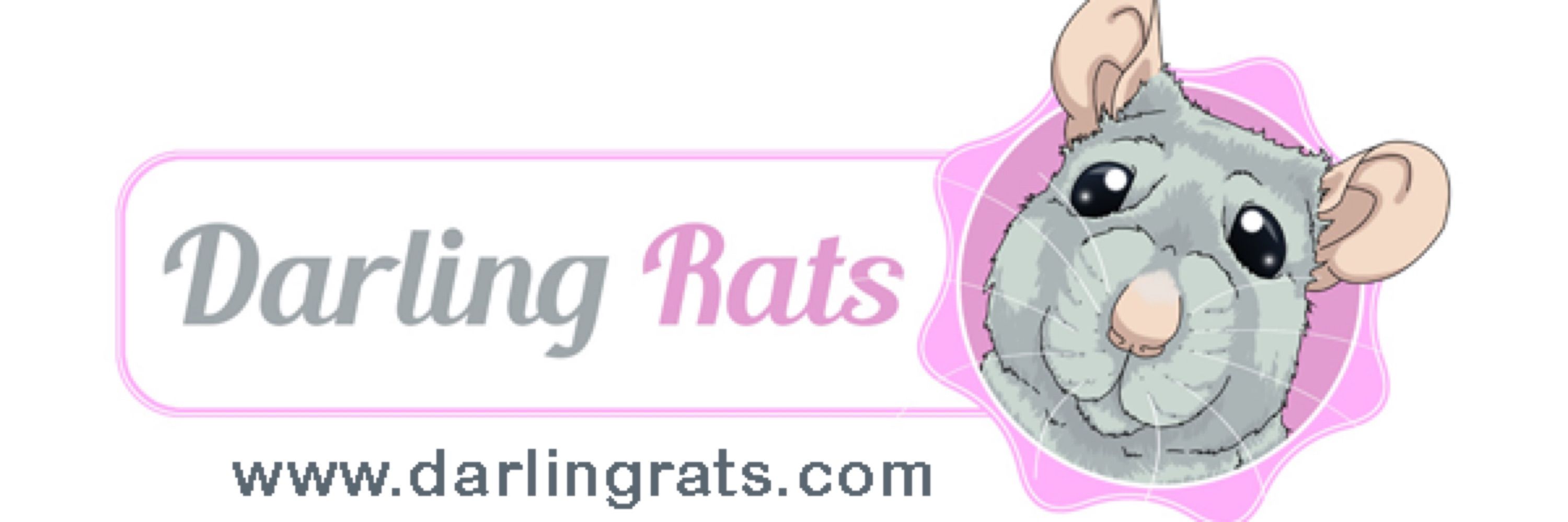 Darling Rats