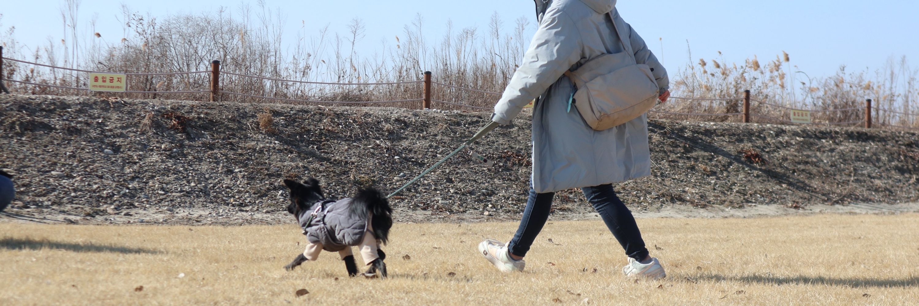 도담