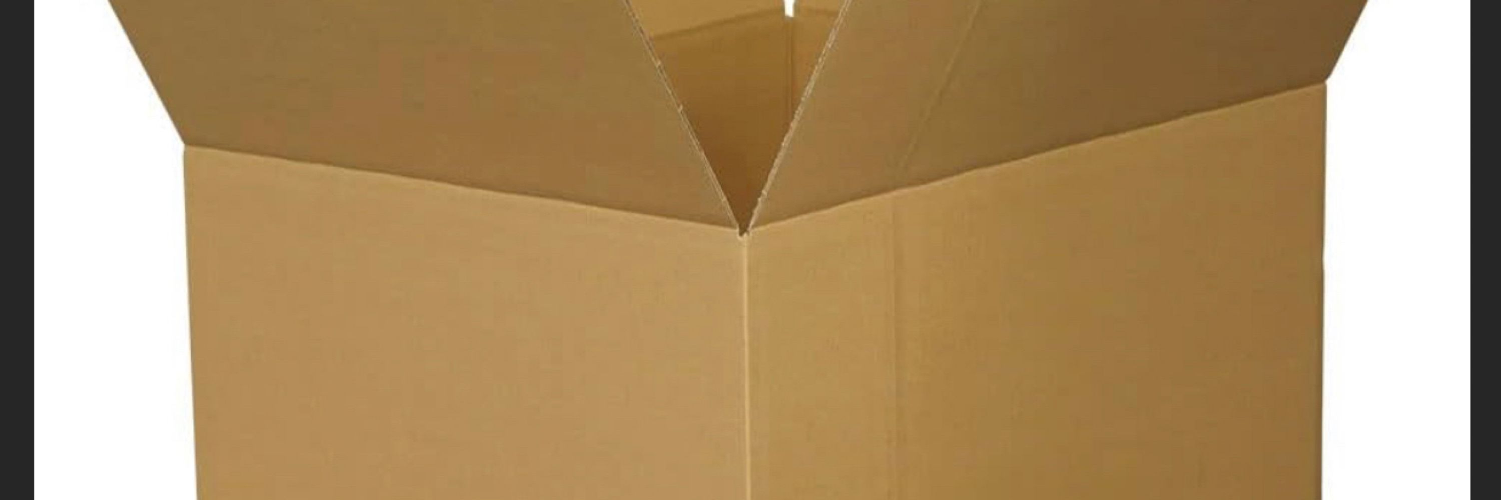 ねこのダンボール📦📦