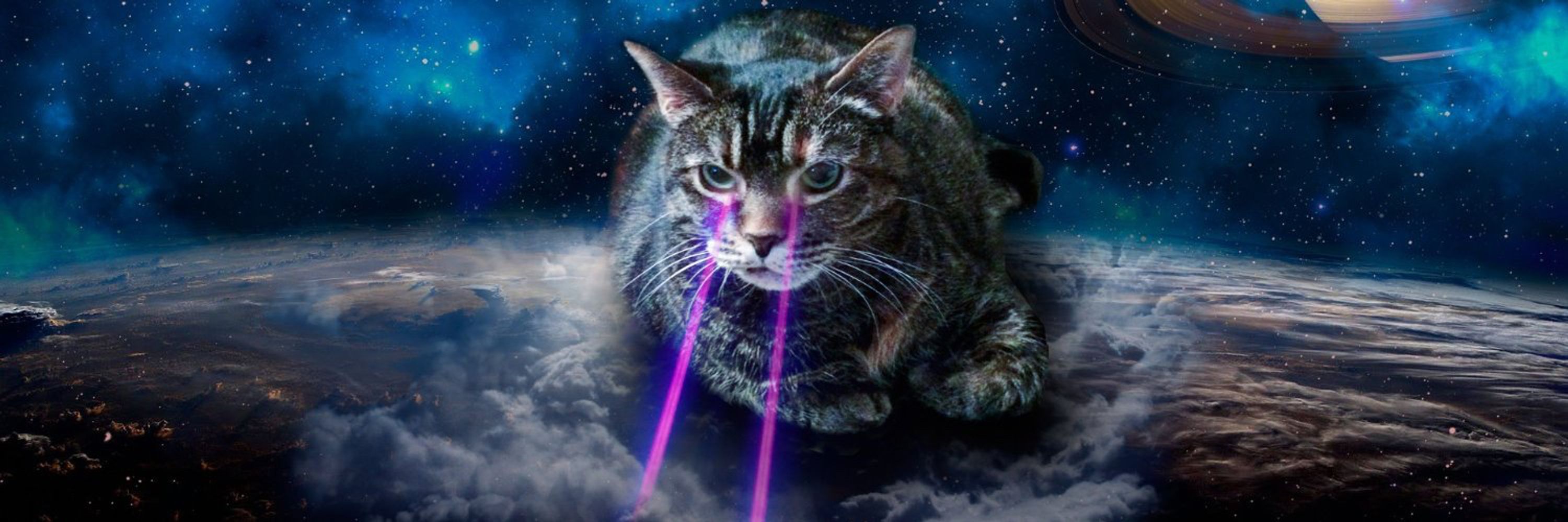 fire cat
