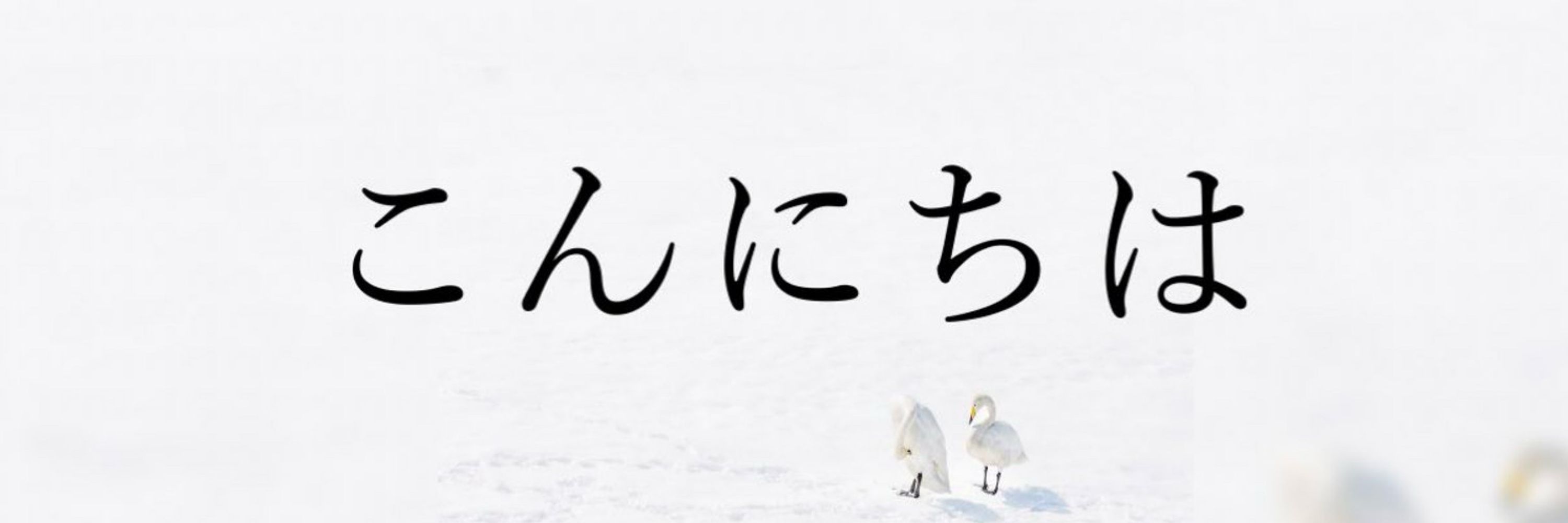 しか