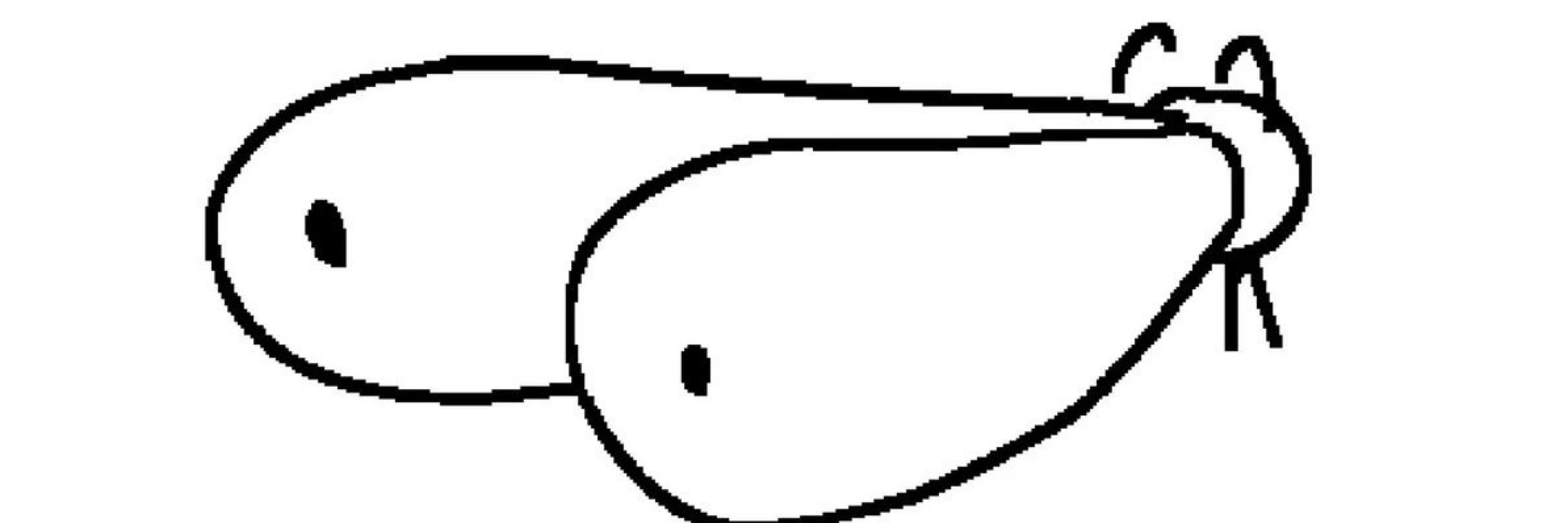 dori