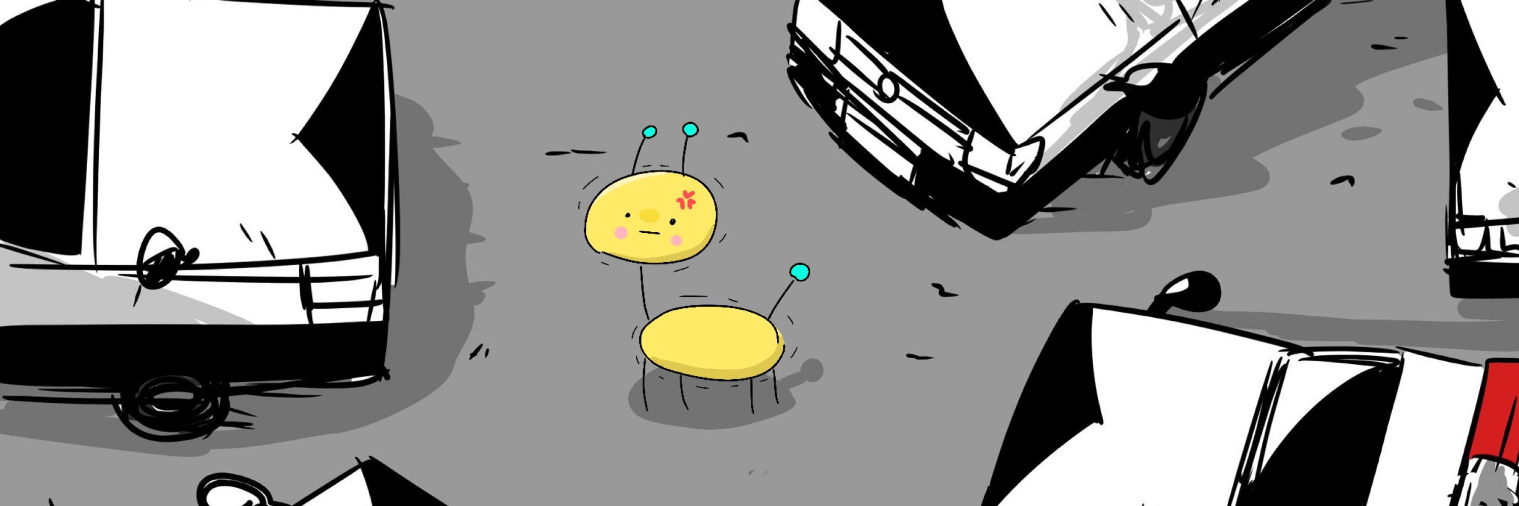 ねこなまこっち