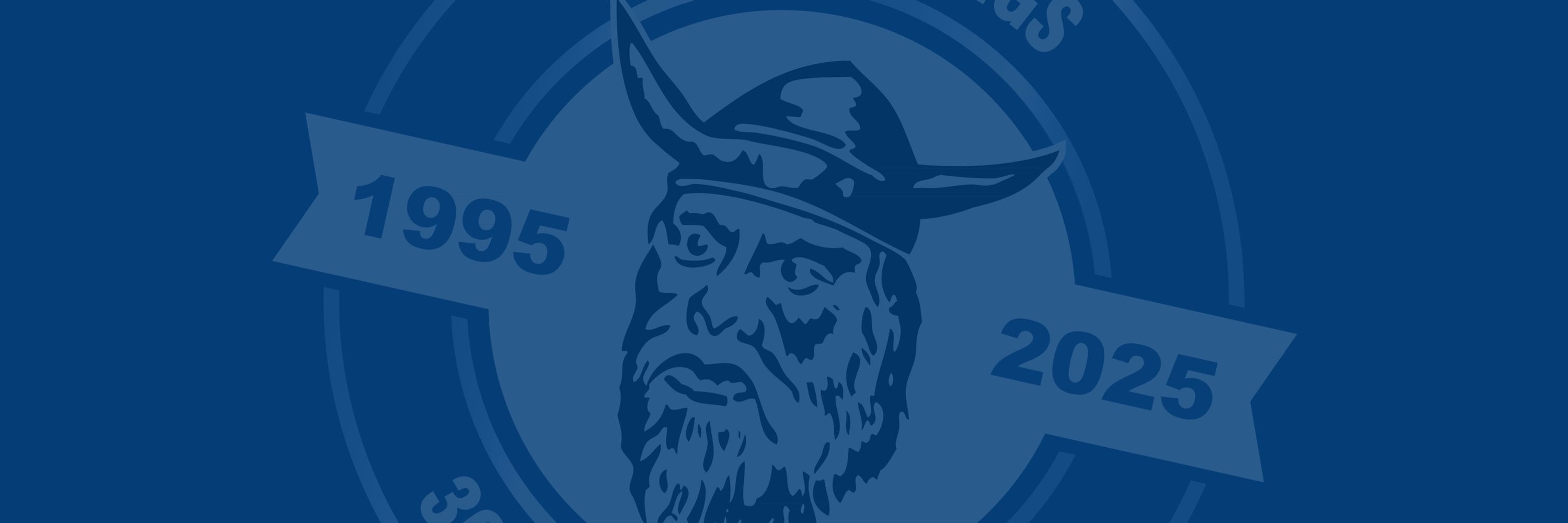 Hull Vikings