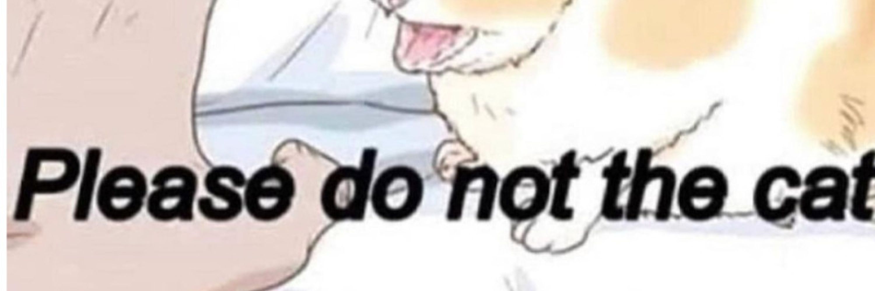 inochaos
