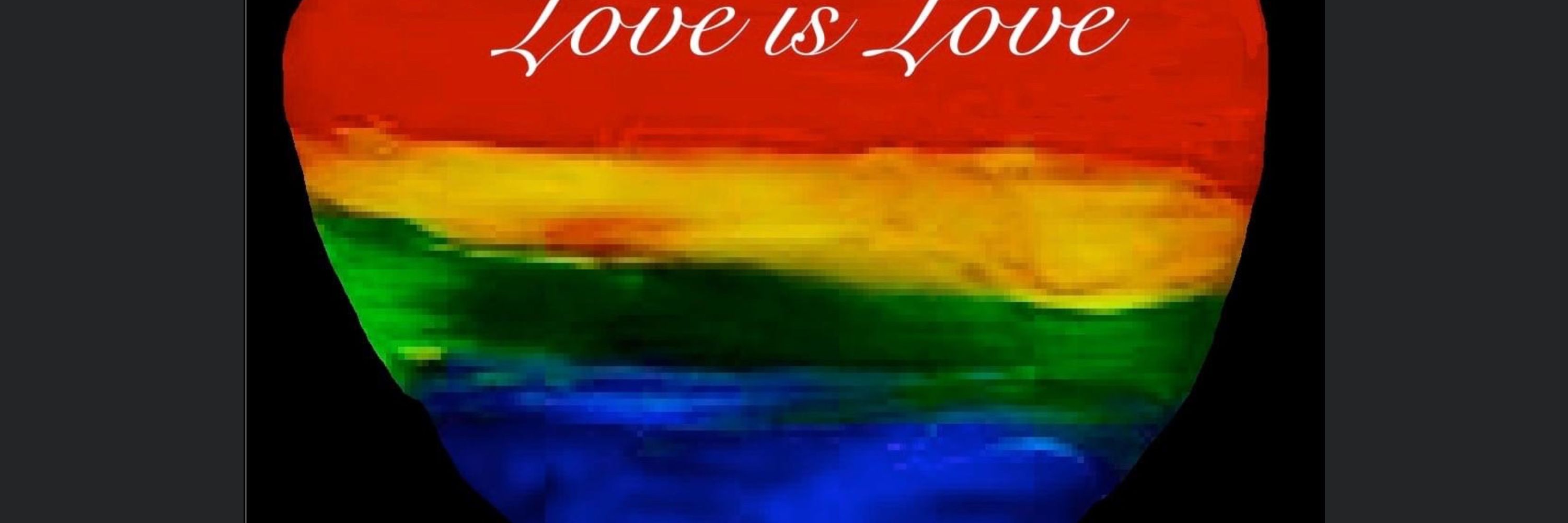 Shezag🏳️‍🌈🌈🐯♿️