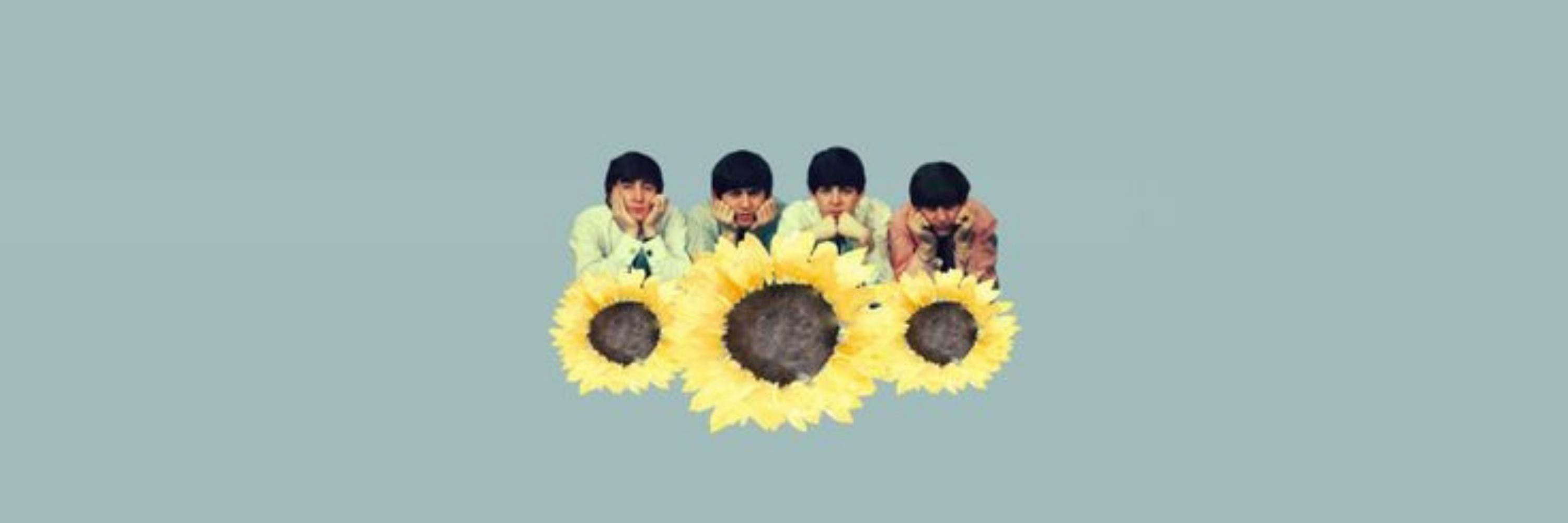 aninha