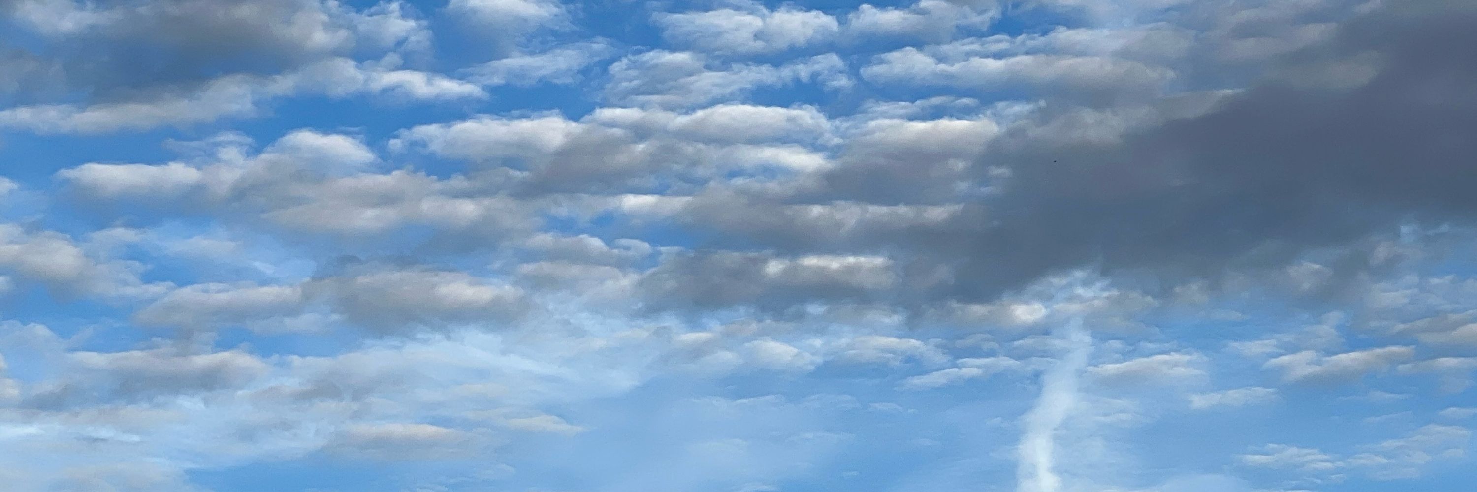 Mark Bluesky