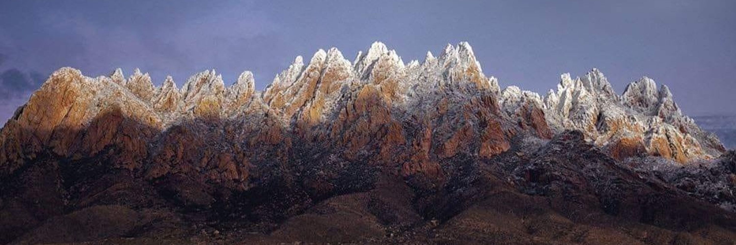 Ron Washburn