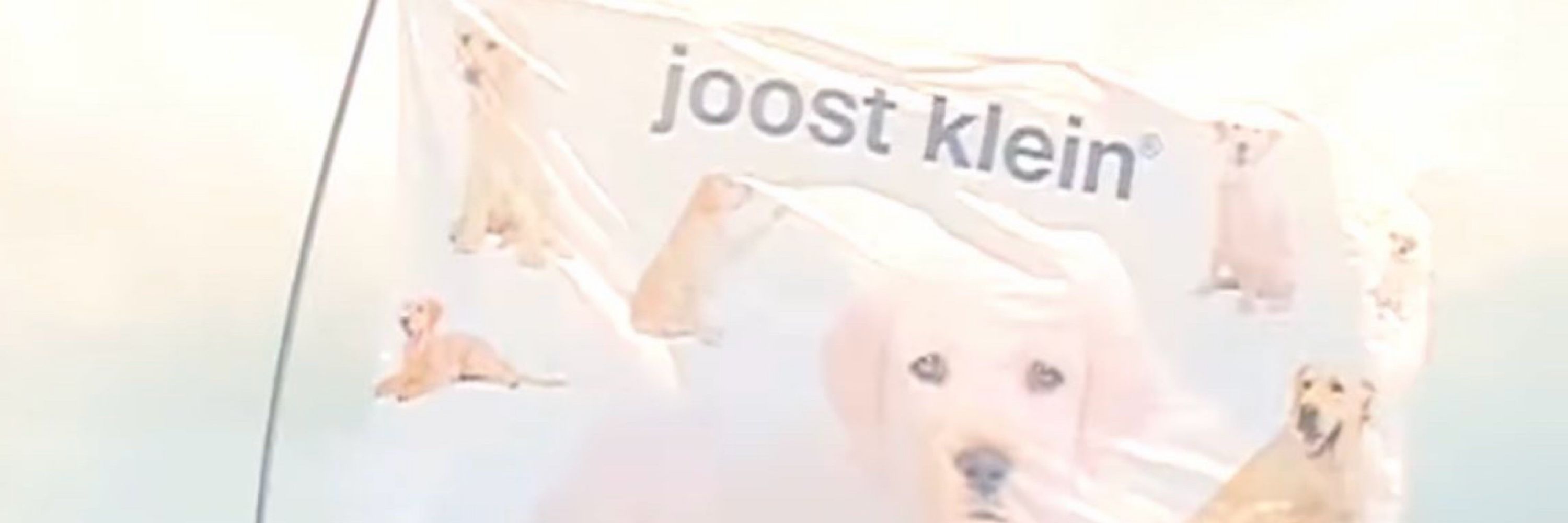 ya