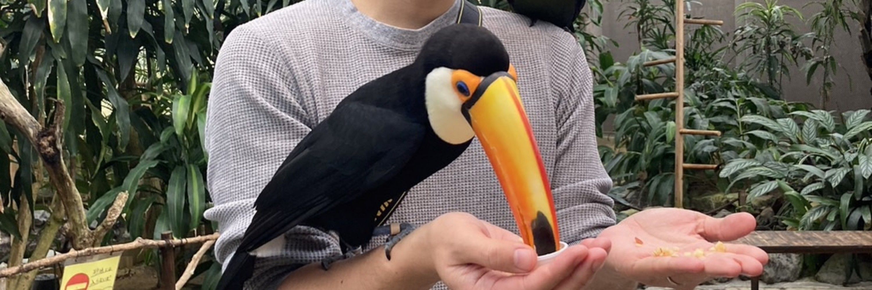 zubu