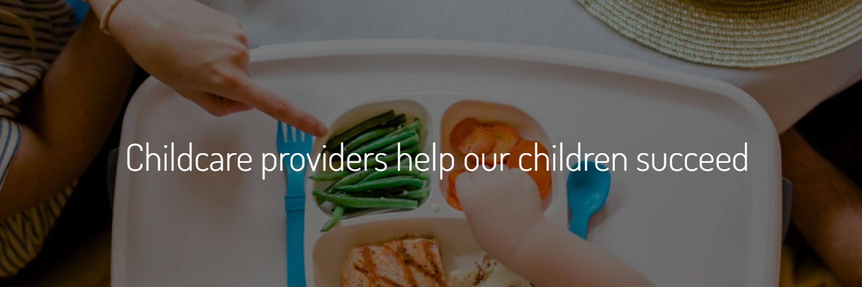 Healthy Plate Solutions