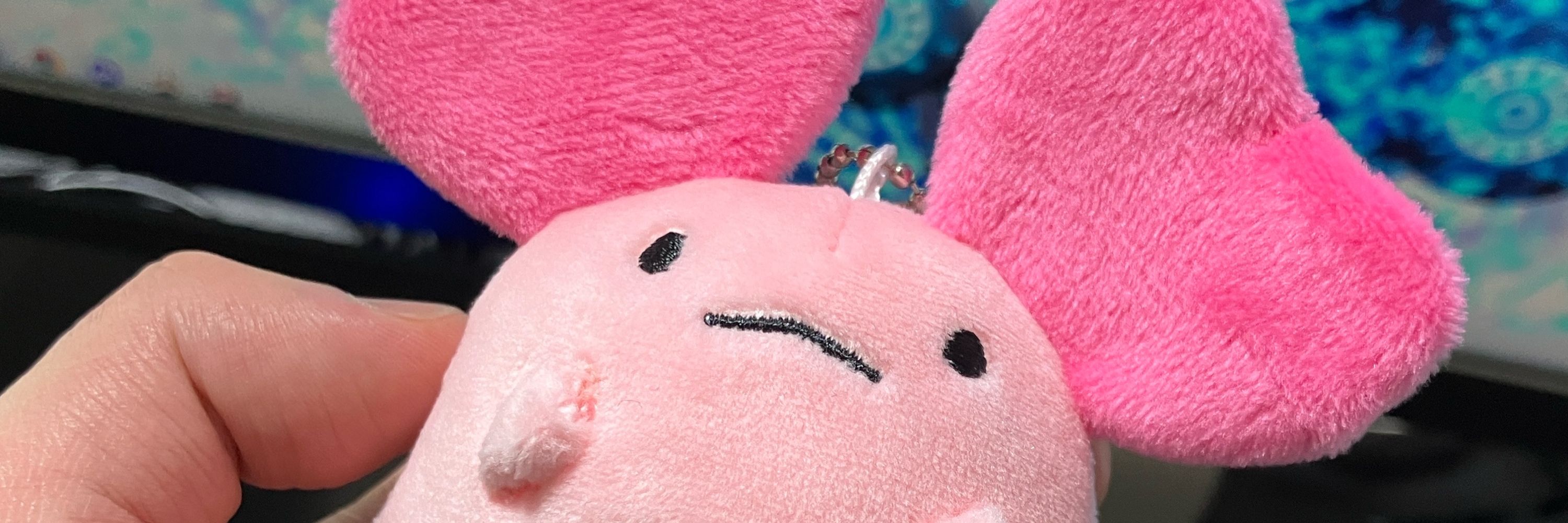 のか