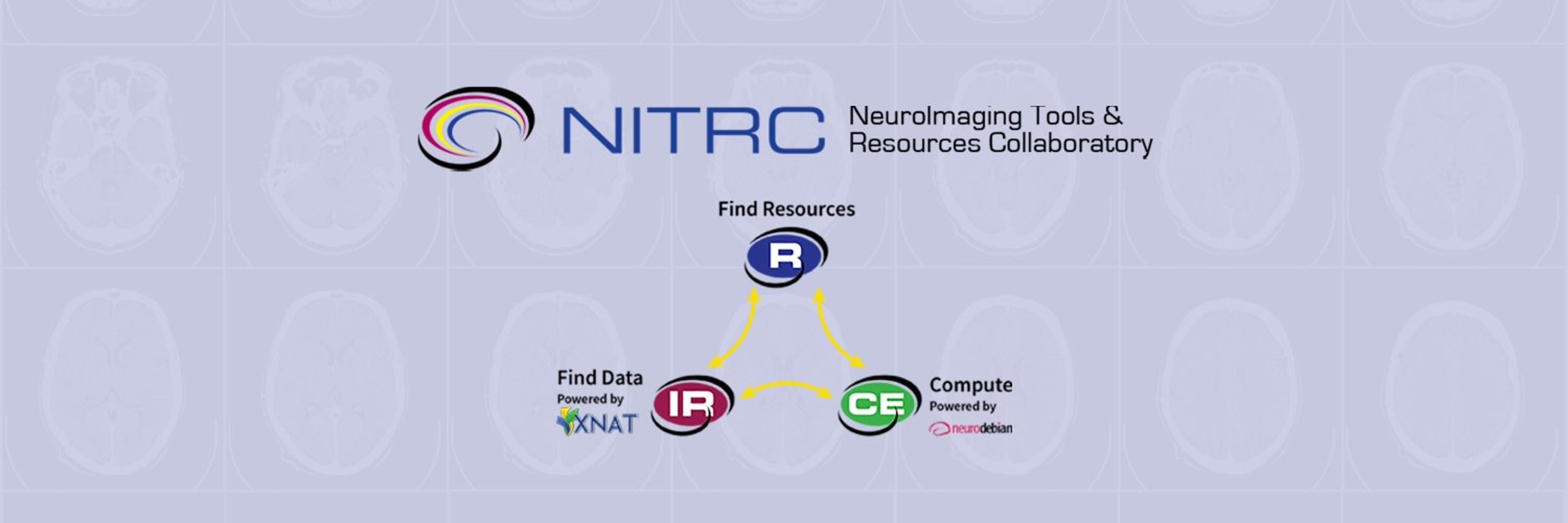 NeuroImaging Tools and Resources Collaboratory