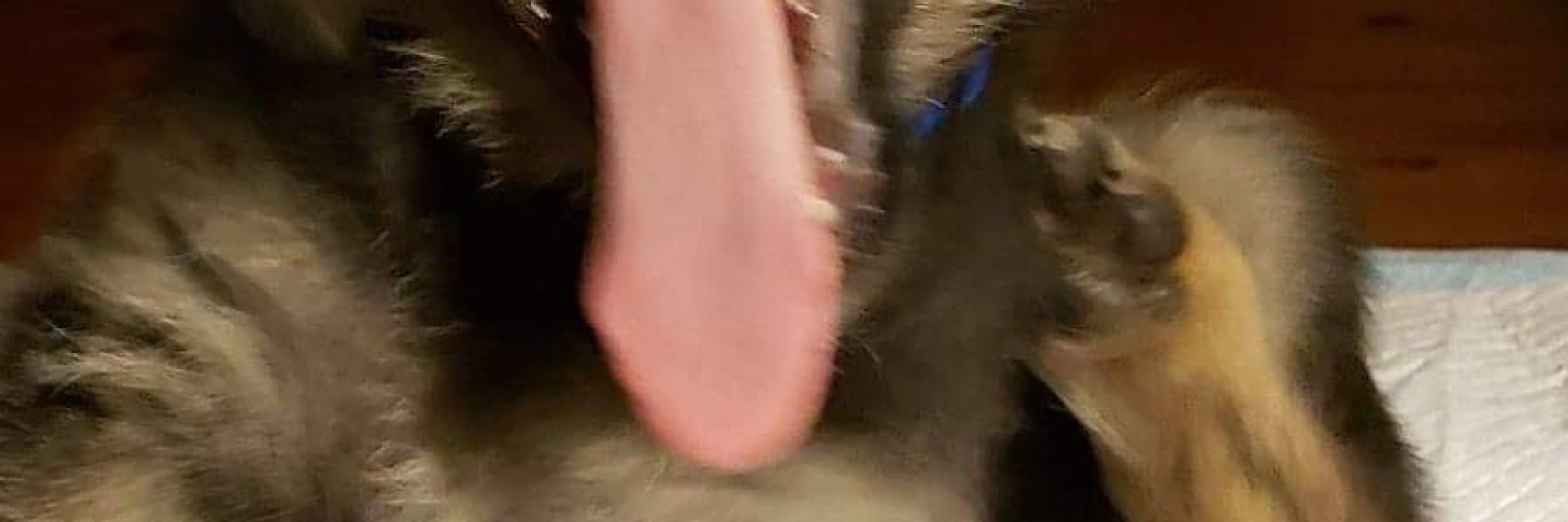 R.J.