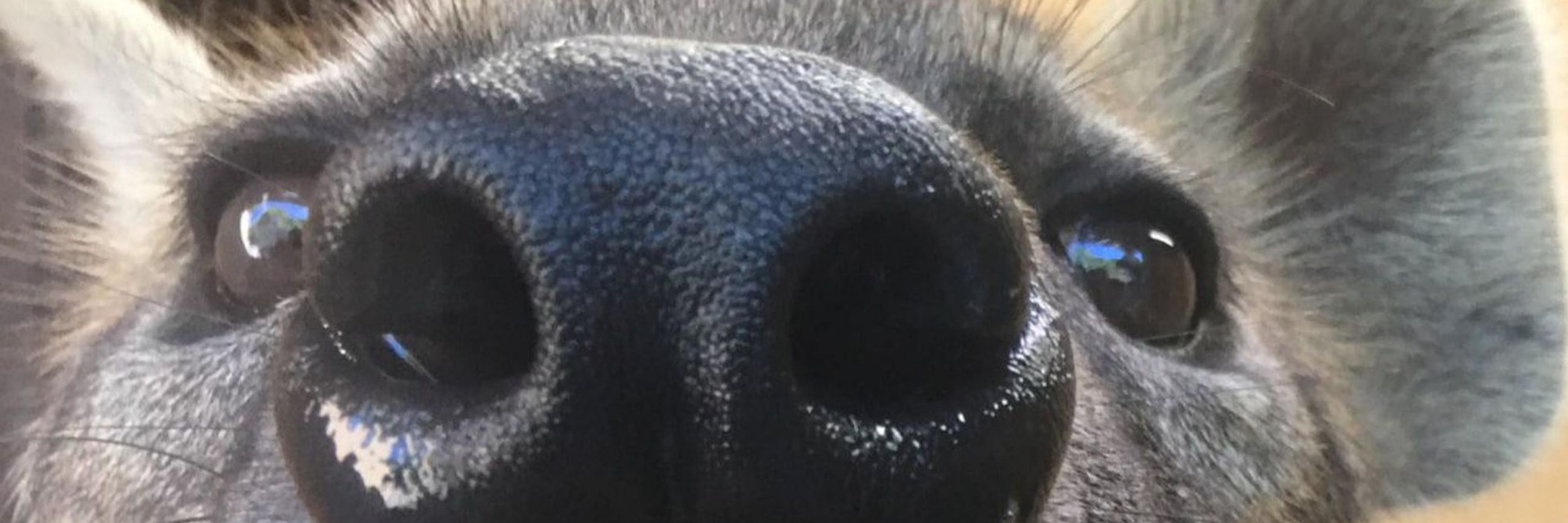 ꝐỤᙏꝓ𝒾ȠǥꝐ𝒾ŀŀ⚈ሥऽ