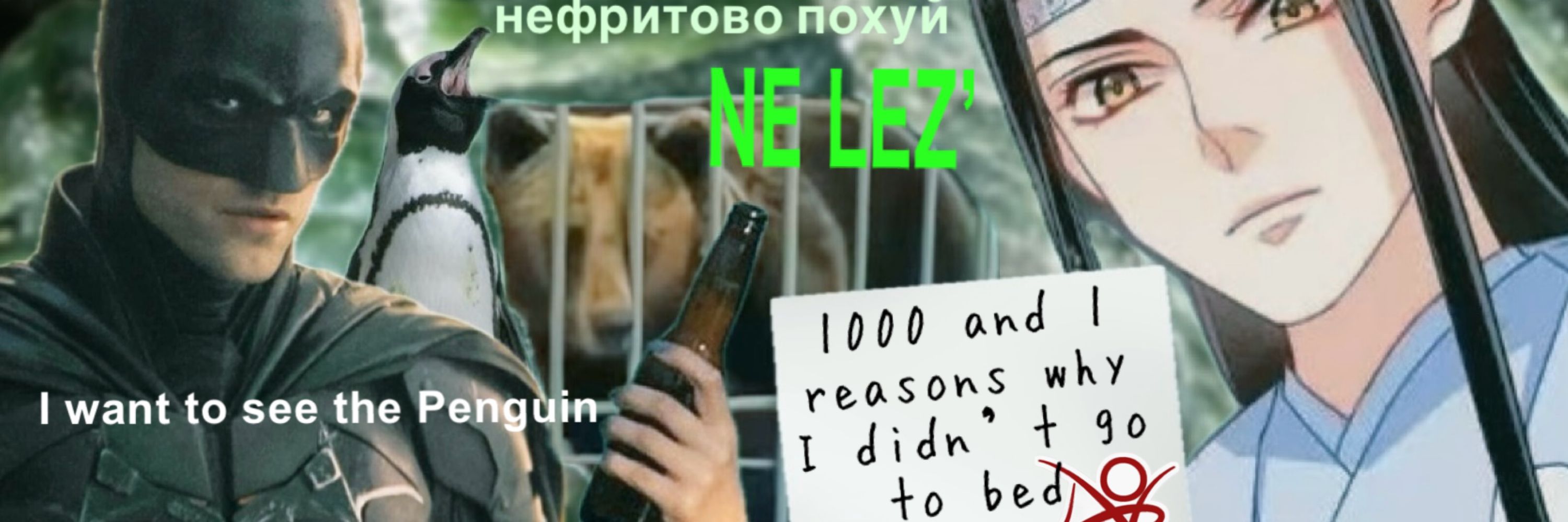 вдовушка гусуланьская 萍文雅