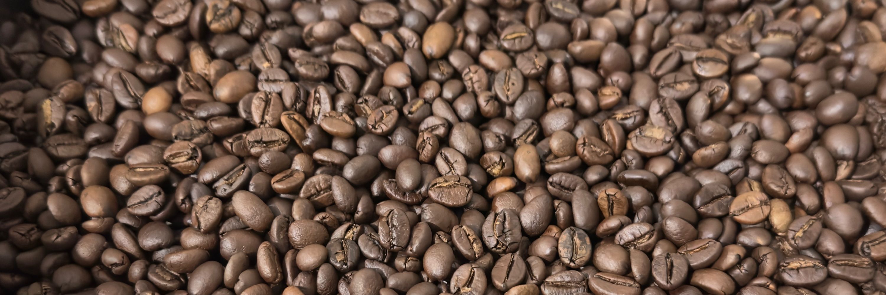 Focal Point Coffee
