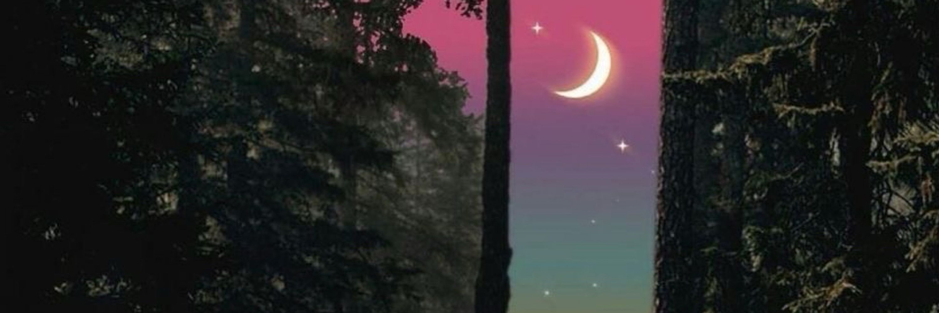 𝓛𝓾𝓪