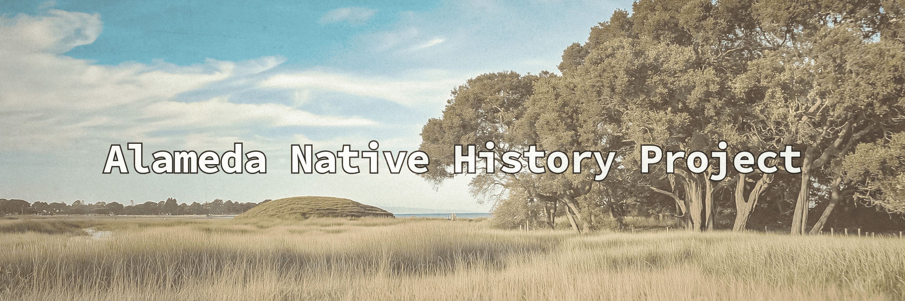 Native History Is American History