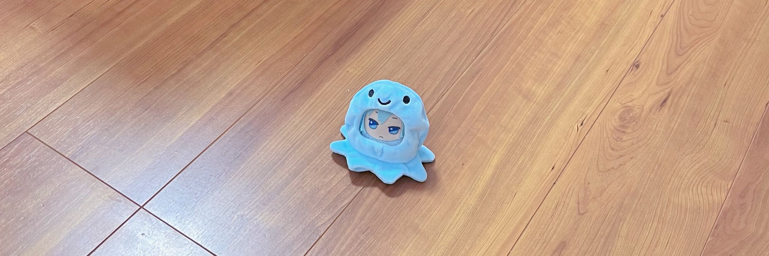 にぼし