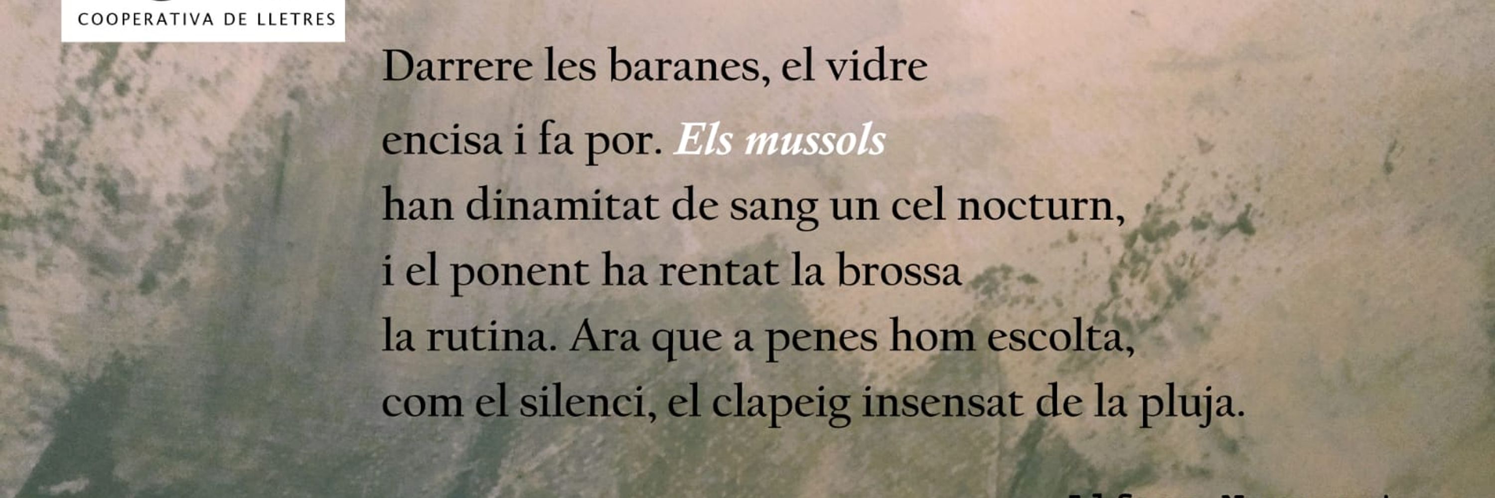 Alfons Navarret