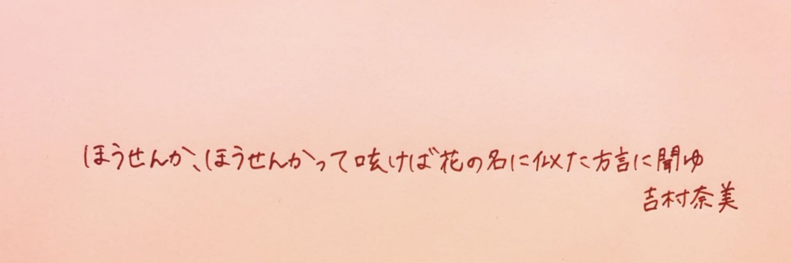 404notF0816