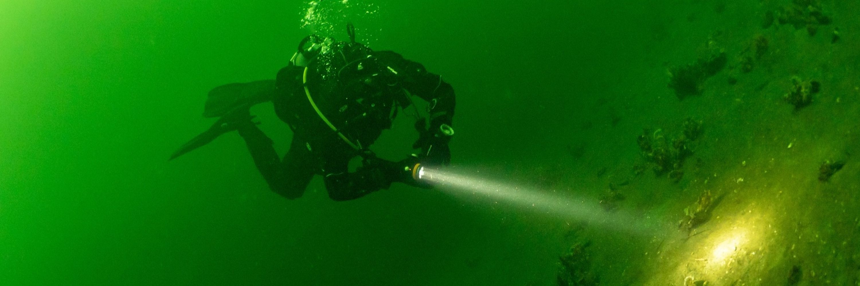 Scuba Michael