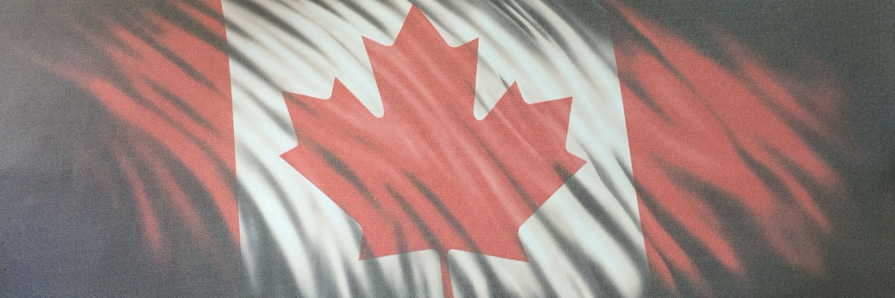 Shitty Human 🇨🇦