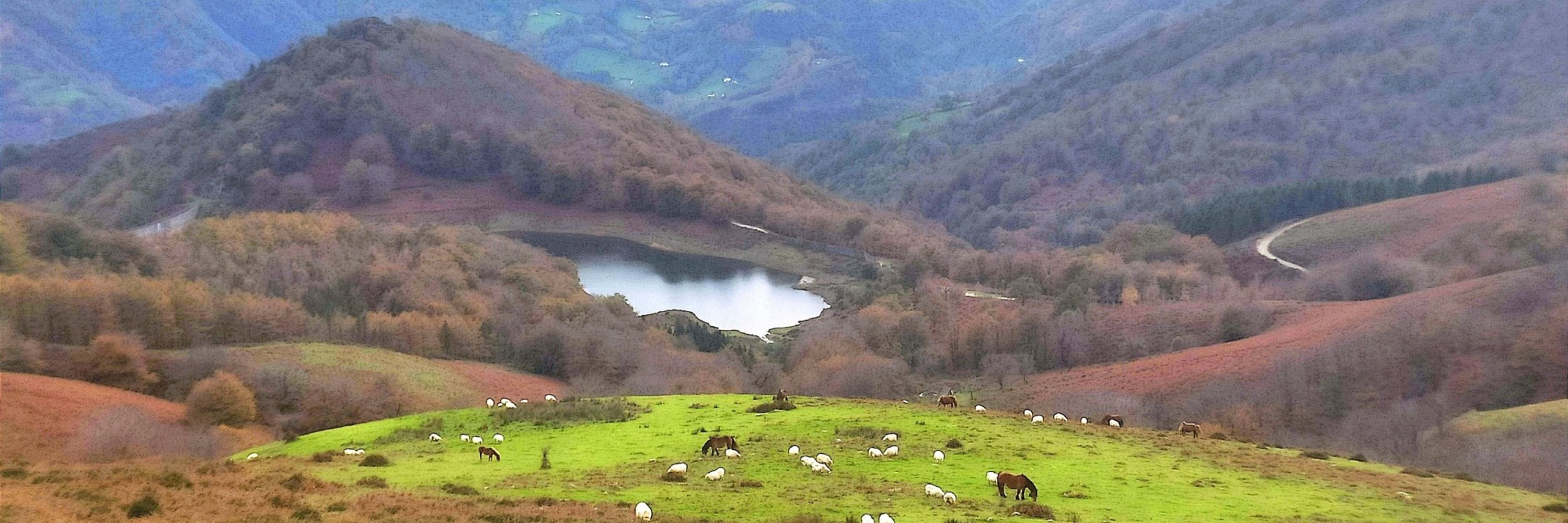 Arratsa