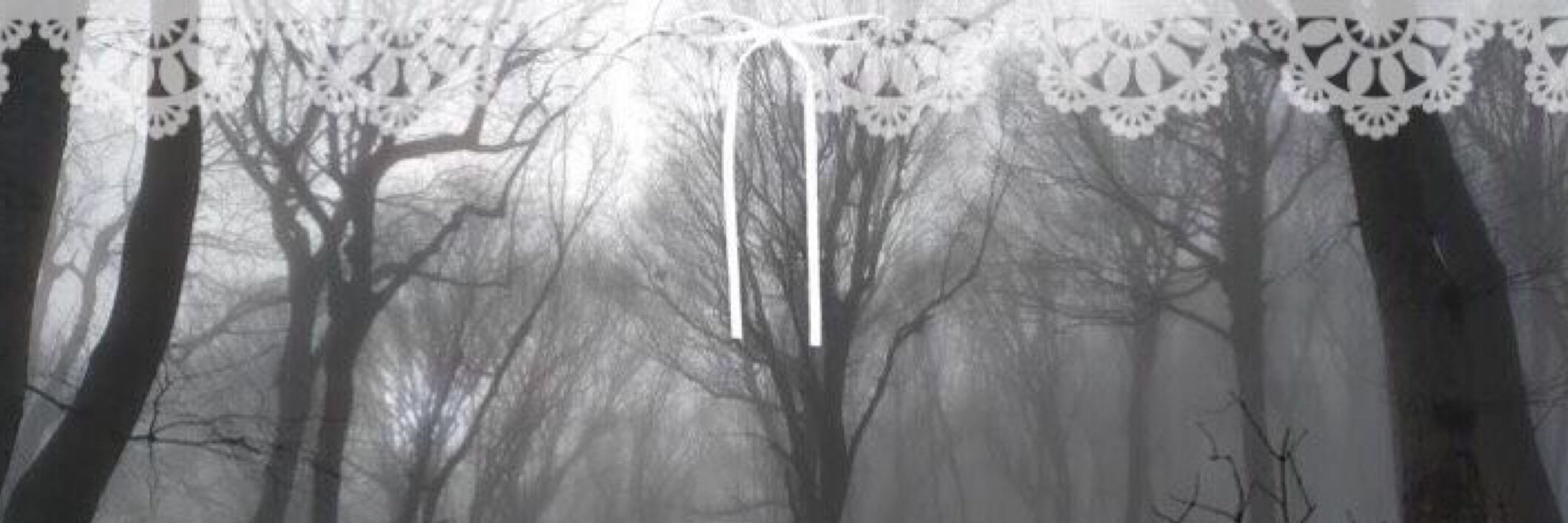 𐙚𝐁𝐥𝐨𝐭𝐭𝐚𝐫𝐭꒱ ᰔ.