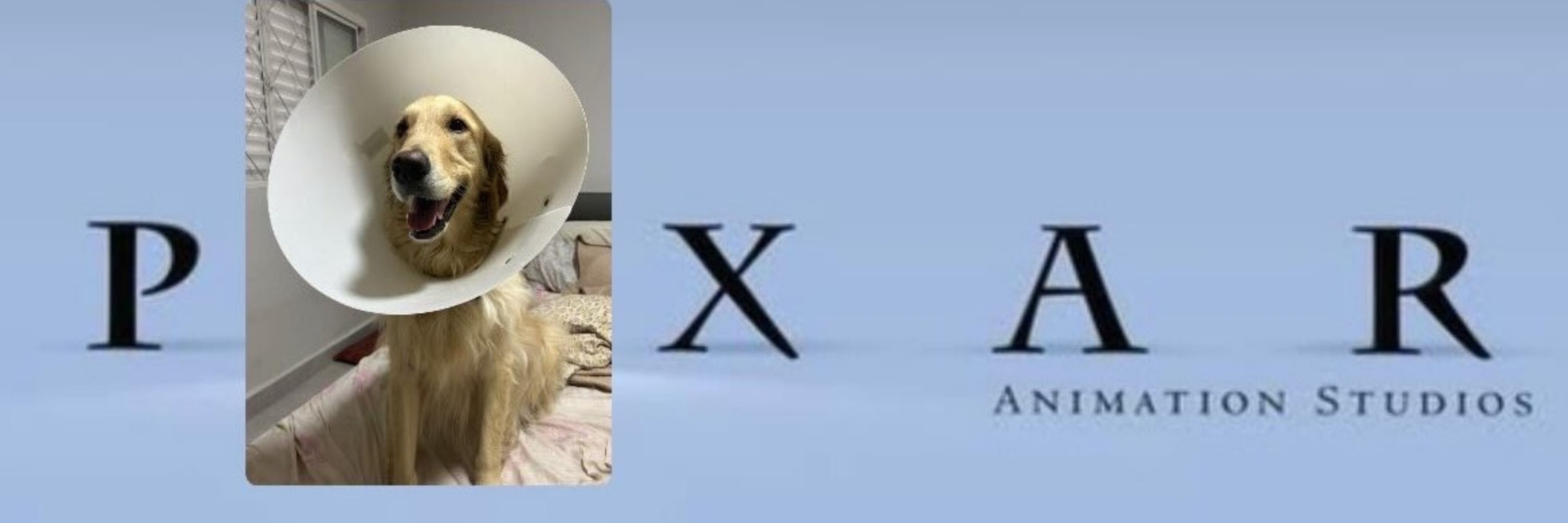 Redyyss