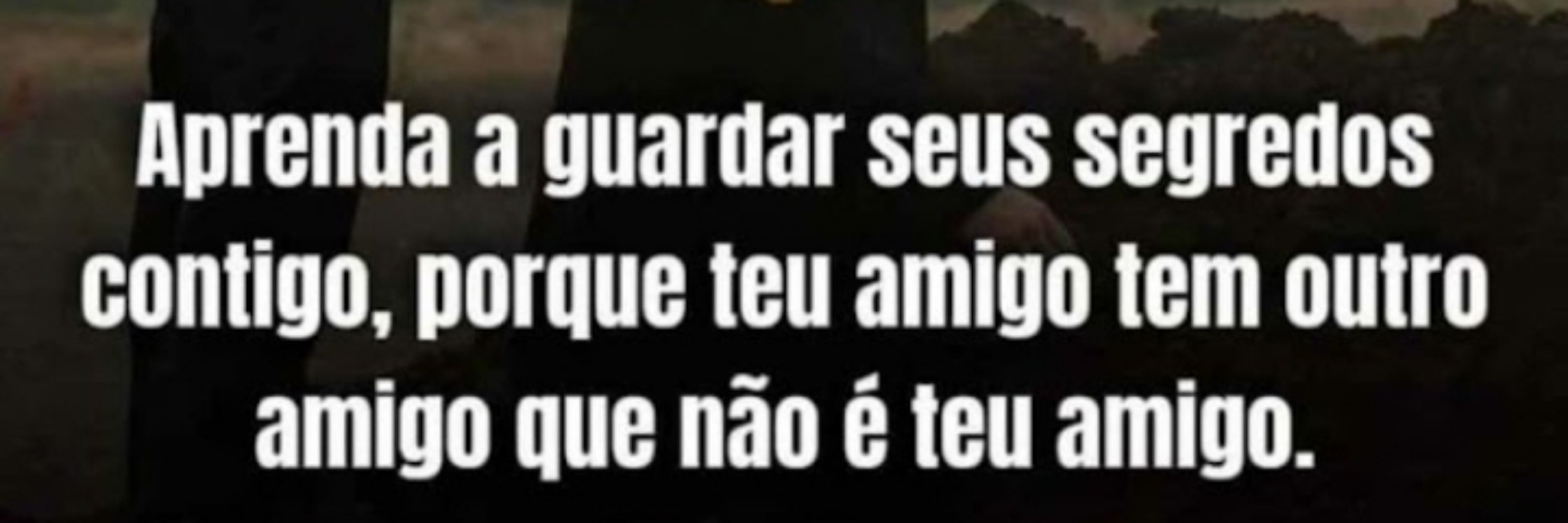 Vini