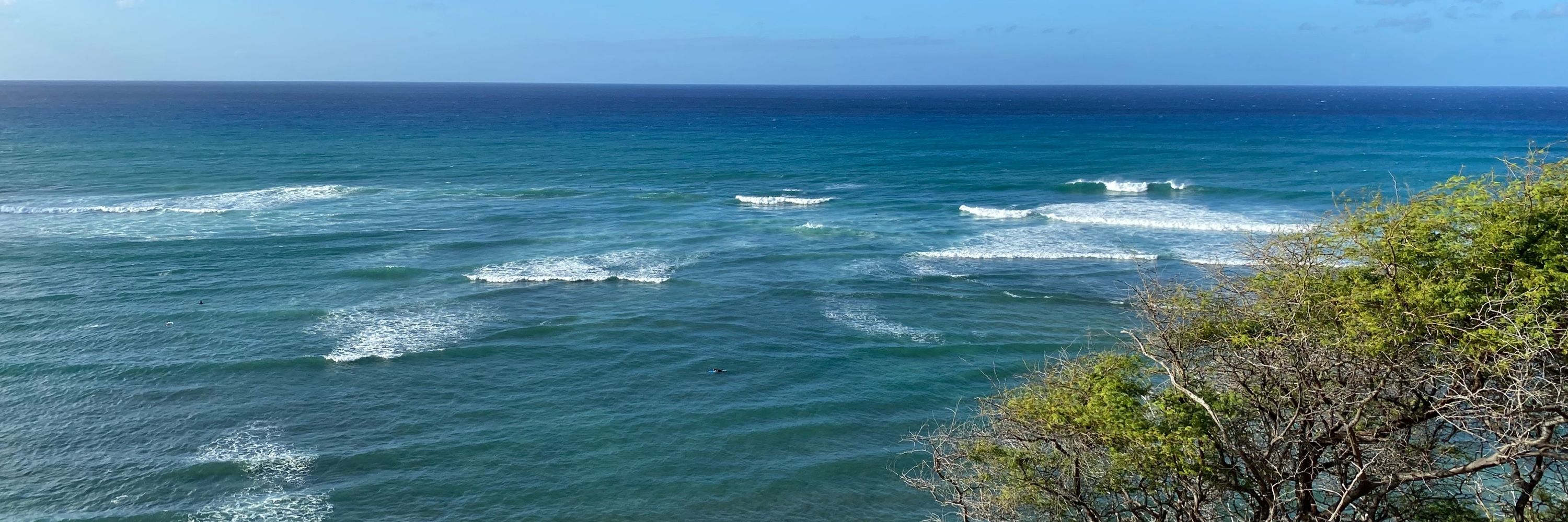 浩浩