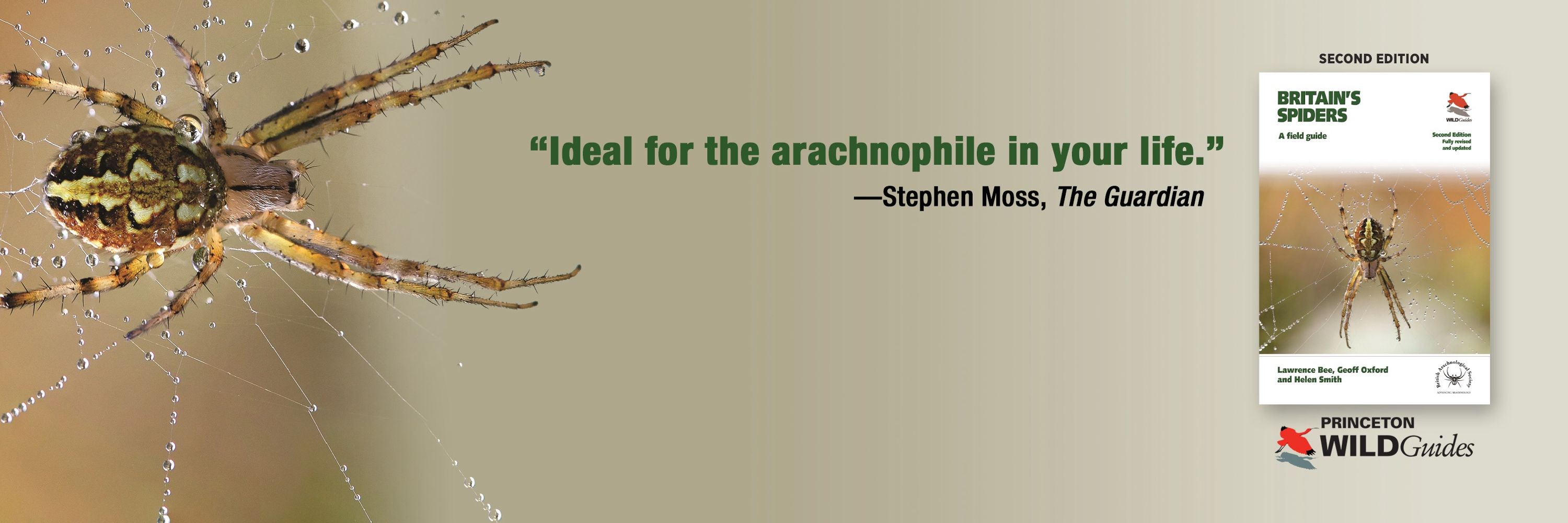 British Arachnological Society