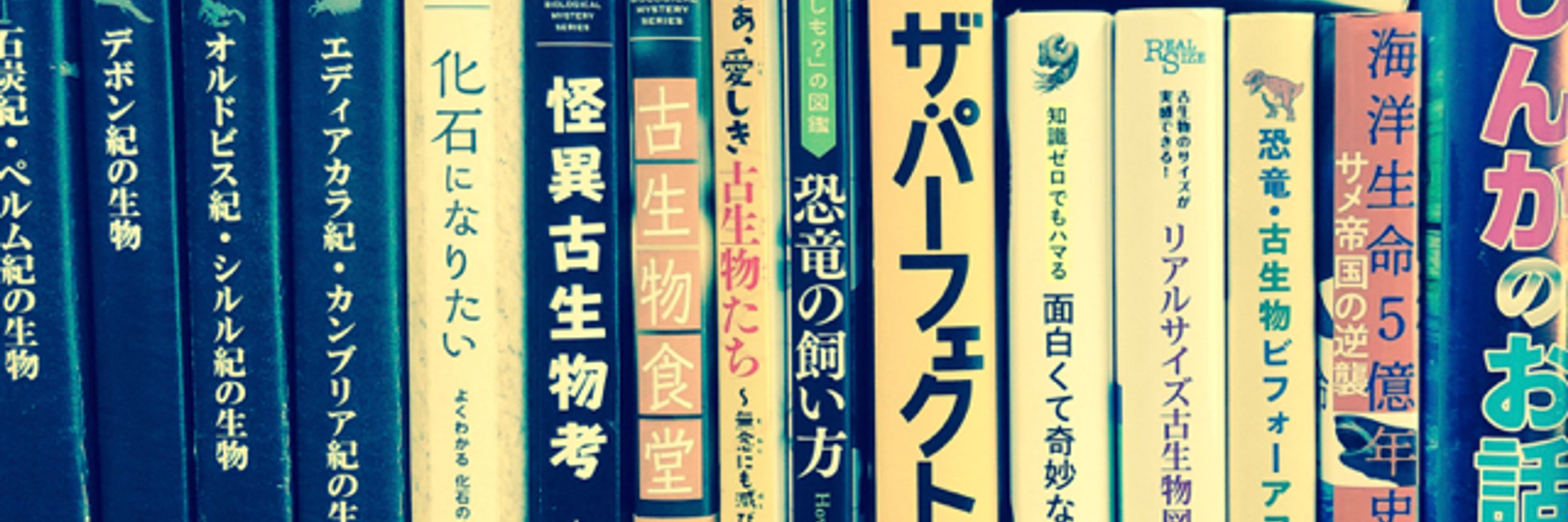 Ken Tsuchiya