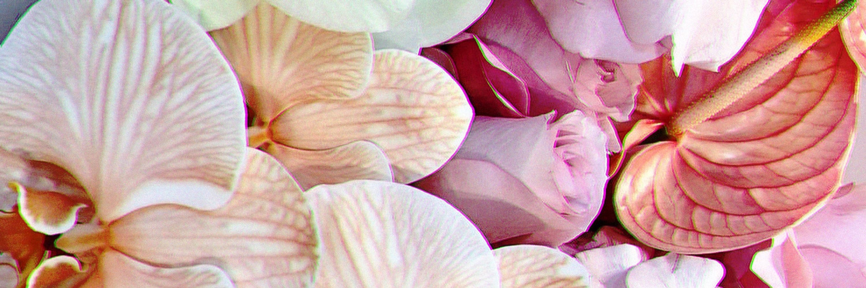 Mariá 